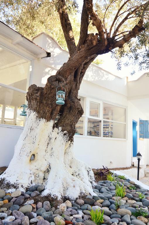 Misket Hotel Bodrum Gümüşlük Exteriör bild