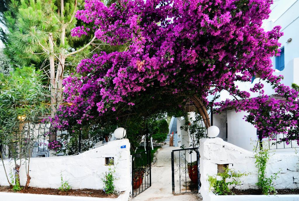 Misket Hotel Bodrum Gümüşlük Exteriör bild